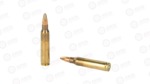 AGUILA 556NATO 55GR FMJBT 300/1200
