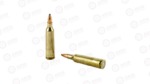 FIOCCHI 22-250REM 55GR PSP