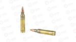 FIOCCHI 223REM 55GR FMJBT