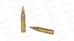FIOCCHI 223REM 55GR PSP