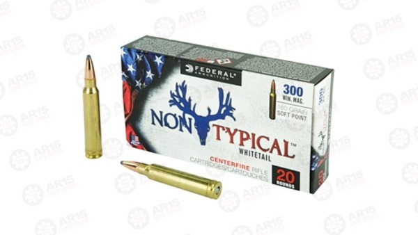 FED NON TYPICAL 300 WIN 180GR SP Federal