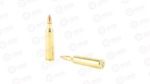 FED AE 22-250 50GR JHP