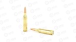 FUSION 243WIN 95GR