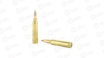 FED GOLD MDL 223REM 69GR BTHP