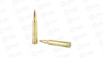 FED GOLD MDL 300WN 190GR BTHP