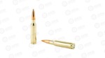FEDERAL GOLD MEDAL 308WN 168GR BTHP Case of 200 Rounds