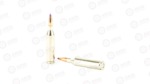 FED PRM 243WIN 70GR BLSTC TIP