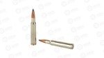 FED PRM 3006 165GR TRPHY COPPER
