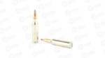 FED PRM 300WSM 165GR NP
