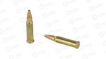FED PRM 17HMR 17GR SPEER TNT