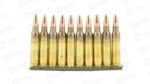 FED XM193 556NATO 55GR FMJ 420RD CAN