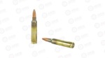 GORILLA 223REM 62GR LEHIGH CC