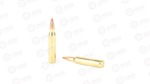 HRNDY 223REM 55GR VMAX