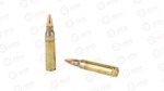FRONTIER 223REM 55GR FMJ
