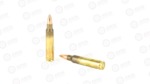 FRONTIER 223REM 55GR FMJ