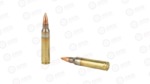 FRONTIER 556NATO 55GR FM193
