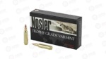 NOSLER 22NOS 70GR AB