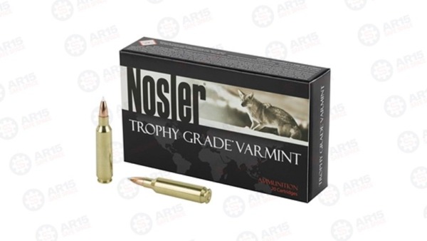 NOSLER 22NOS 70GR AB