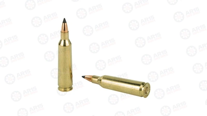 NOSLER VG 22-250 55GR FB TIP - Image 4