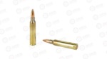 PPU 556NATO M193 55GR FMJ