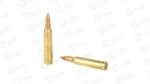 REM UMC 223REM 55GR FMJ