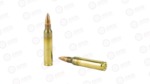 WNQ3131BX_4 WIN USA 5.56 55GR FMJ