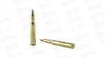 WIN USA 3006SP 147GR FMJ