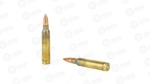 WIN 556MM 55GR FMJ CAN 300/900