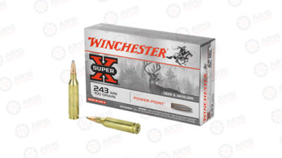 WIN SPRX 243WIN 100GR PP Winchester