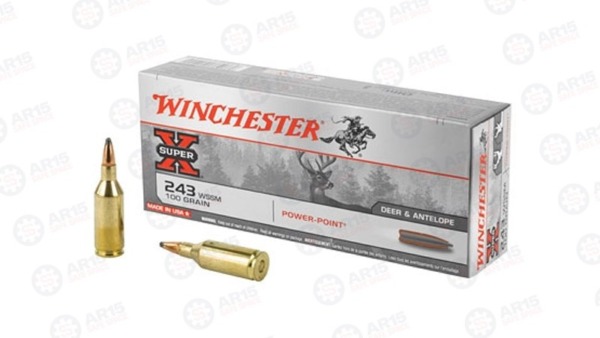 WIN SPRX 243WSSM 100GR PP Winchester