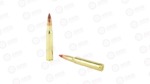 WIN DEER SEASON LF 3006SP 150GR