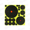 Birchwood Casey Shoot-N-C VP-5 Target 1"