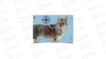 Birchwood Casey Pregame Target 16.5" x 24" Target W/ Visible Vitals 3 Targets 35405