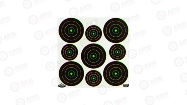 Birchwood Casey Dirty Bird Target 12" x 18" 20 Targets 35828