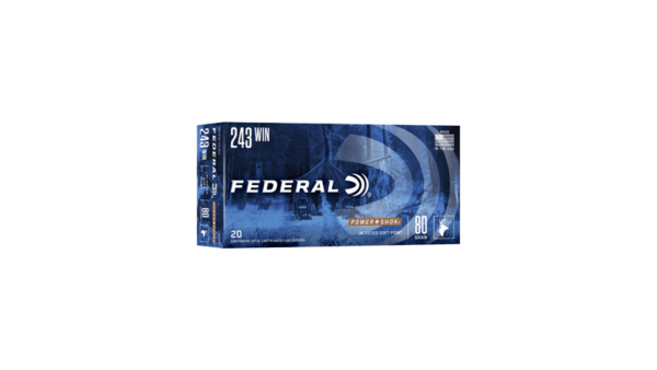 FED PWRSHK 243WIN 80GR SP