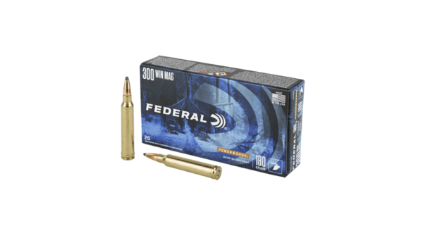 FED PWRSHK 300WIN 180GR SP