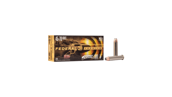 FED HMR DWN 45-70GVT 300GR SP