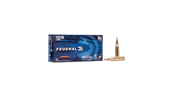 FED V&P 243WIN 75GR V-MAX