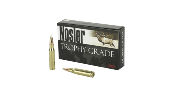 NOSLER 308WIN 165GR AB
