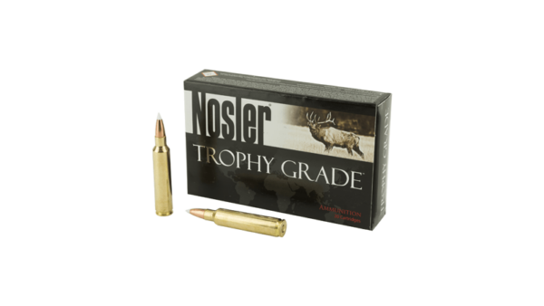 NOSLER 30NOS 180GR AB