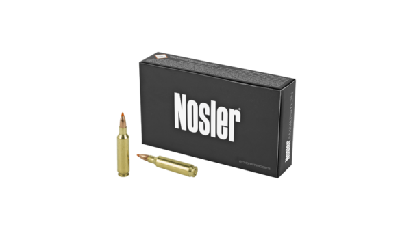 NOSLER 22NOS 55GR BT