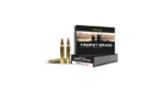 NOSLER TG 223REM 70GR AB
