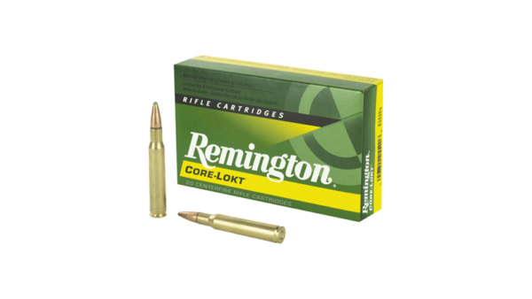 REM 3006 165GR PSP CL