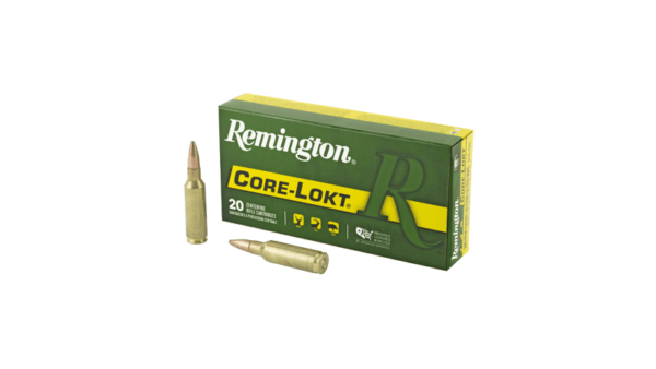 REM 300RSAUM 165GR PSP CL