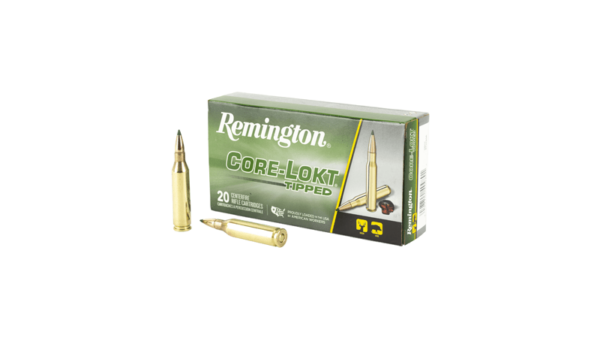 REM 243WIN 95GR CLOK TIPPED