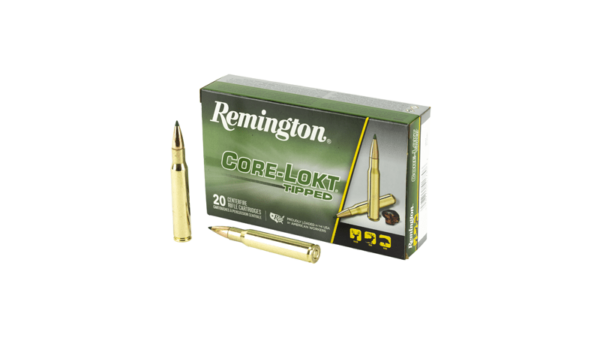 REM 30-06SPRG 180GR CL TIPPED