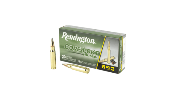 REM 308 WIN 180GR CLOK TIPPED