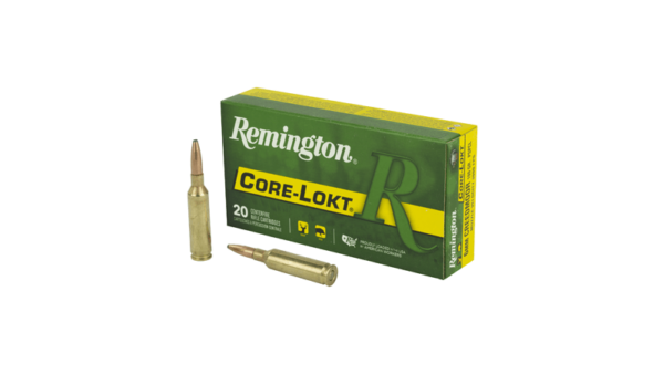 REM 6MM 100GR CM CL