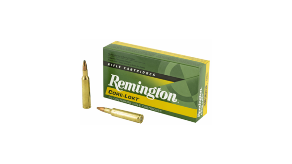 REM 6MM REM 100GR PSP CL