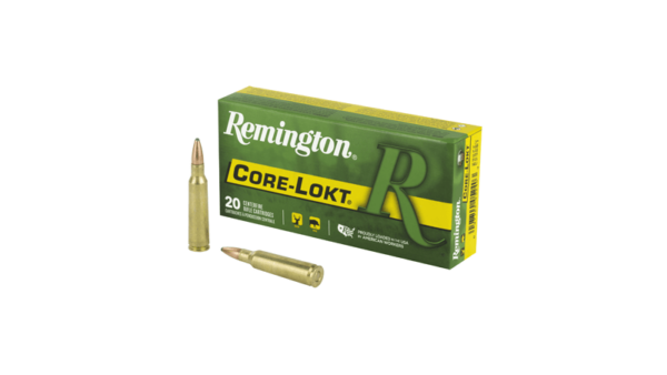 REM 250SAV 100GR PSP